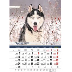 Kalendarz ścienny 2022 Psy A4 Wyd. O-press
