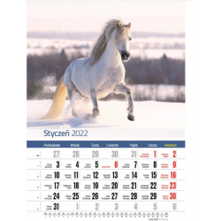 Kalendarz ścienny 2022 na spirali A3 duży KONIE