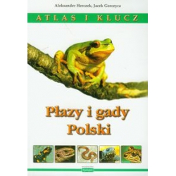 Atlas i klucz. Płazy i gady Polski. Kubajak