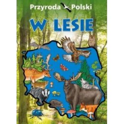 Przyroda Polski. W lesie